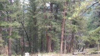 85 Overlook Rd, Cotopaxi, CO 81223-9315