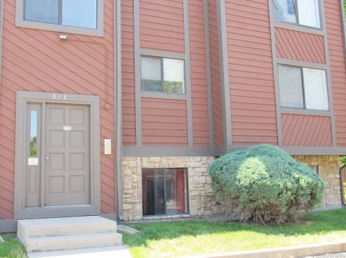 313 Lehow Ave, Englewood, CO 80110-6743
