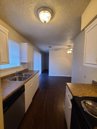 125 Astoria Dr, Cedar Hill TX  75104-2745 exterior