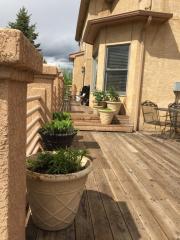 20260 Doewood Dr, Woodmoor CO  80132-8050 exterior