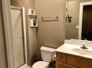 10 Loblolly Ct, Lemont IL  60439-7744 exterior