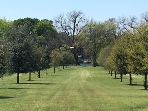 1043 Legends Pkwy, Lakeside Heights, TX 78639-4527