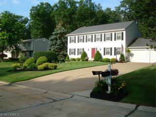 7390 Far Hill Dr, Concord Township, OH 44077-8922