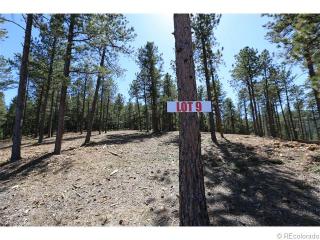 7293 Plowsher Way, Morrison, CO 80465-2835