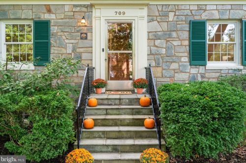 709 Milestone Dr, Silver Spring MD 20904-2735 exterior