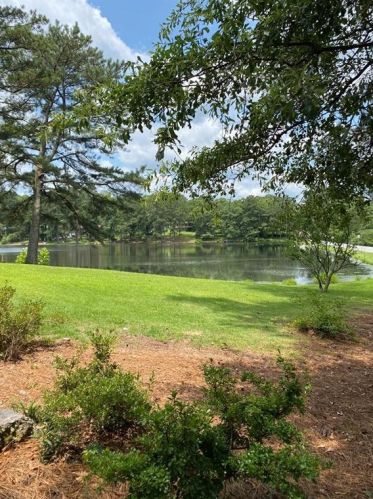 2570 Lk Capri Dr, Conyers GA  30012-2925 exterior