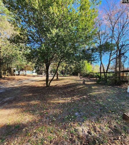 119 Semm Sease Rd, Gilbert, SC 29054-9567