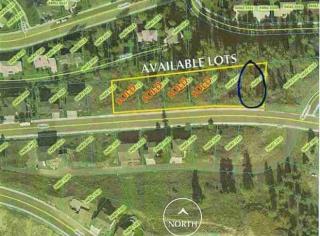 1004 Bolan Ave, Spokane, WA 99224-8268