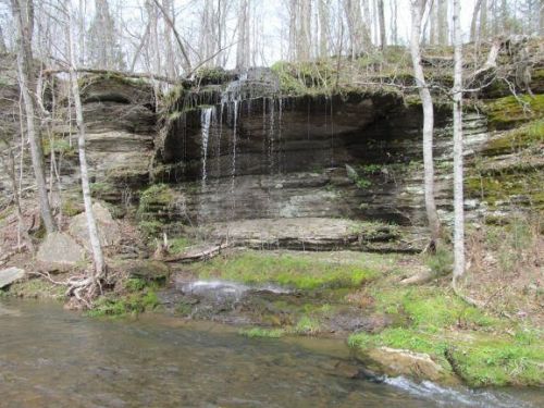 119 Paul Reed Rd, Hohenwald, TN 38462-5601