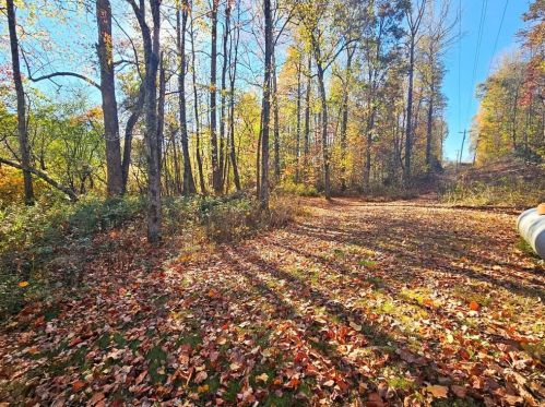 32 Wilbur Dr, Dahlonega, GA 30533-3826