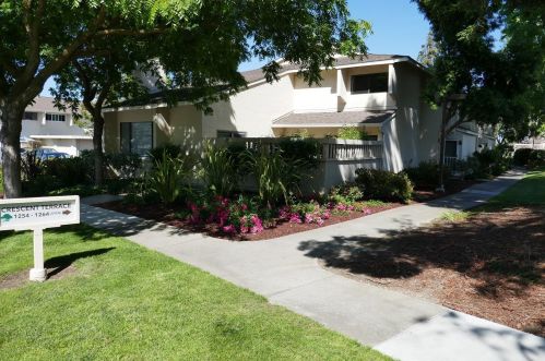 1254 Crescent Ter, Sunnyvale, CA 94087-2833
