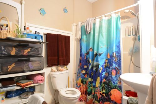 467 Beaumont St, Saint Paul MN  55130-4580 exterior