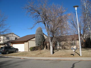 4607 Ivory Cir, Aurora CO  80015-1407 exterior