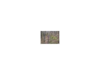 431 Tamarack Dr, Big Canoe, GA 30143-7221