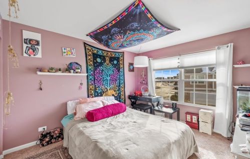 1147 Alta Vista Dr, Pingree Grove IL  60140-2058 exterior