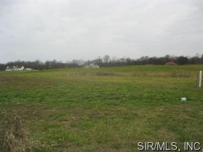 8704 Saint Leos Rd, Redbud, IL 62278-2614