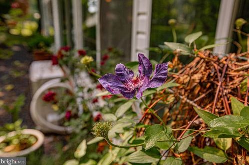 7415 Hastings St, Springfield VA  22150-4108 exterior