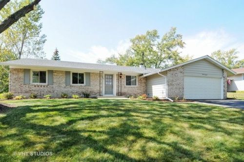 707 Dorchester Dr, Lemont IL  60440-1111 exterior