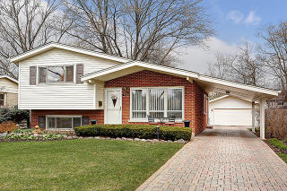 816 Morris Ave, Addison IL  60101-2114 exterior