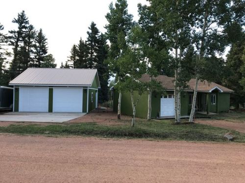 385 Minstrel Dr, Divide, CO 80814-9300