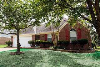 6921 Scofield Cv, Cordova, TN 38018-7904