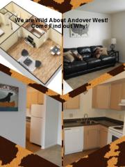 2534 Key St, Toledo OH  43614-4870 exterior
