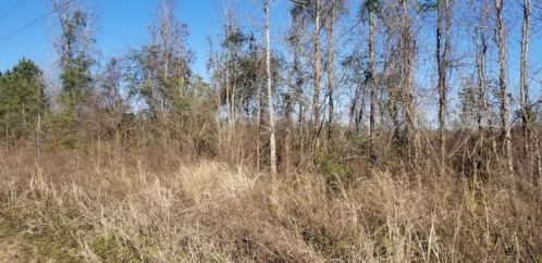 2 Independent School Rd, Reevesville, SC 29471