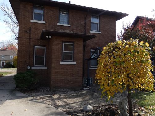 411 Mack St, Joliet, IL 60435-5919