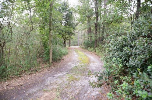 1917 Pine Grove Rd, Ruffin, SC 29475-4179