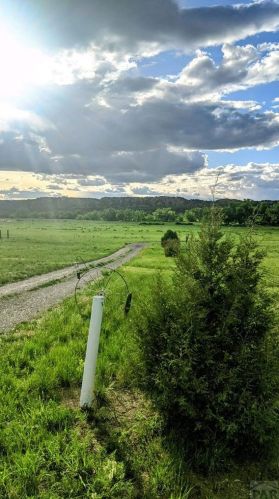 6053 Muddy Creek Rd, Pueblo, CO 81004-9770