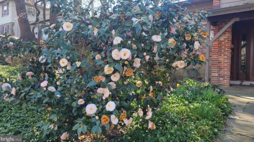 94 Eldrid Dr, Silver Spring MD 20904-2910 exterior