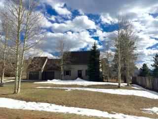 917 Forest Edge Pl, Woodland Park CO  80863-1228 exterior