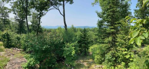 20 Pascoe Rd, Freedom, NH 03836-5028