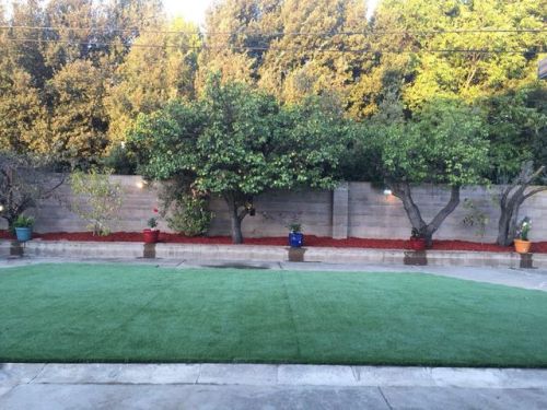 567 Greathouse Dr, Milpitas CA  95035-2818 exterior