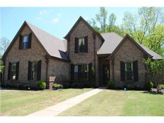 65 Riverdale Dr, Somerville, TN 38060-5375