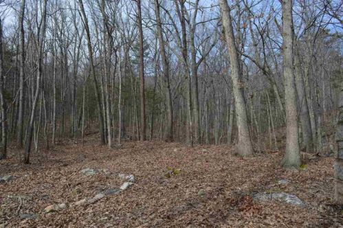 2 Forest Dr, Richmond National Battlefiel, VA 22835