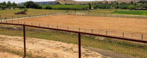 15742 Orange Blossom Rd, Valley Home CA 95361-9522 exterior