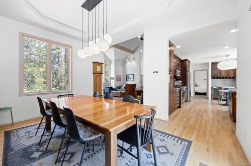 21 Saw Whiskers Cir, Montezuma CO  80435-7903 exterior