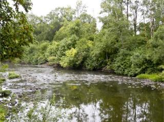81174 Gronnel Rd, Jewell, OR 97138-6099