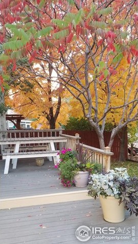 4955 C St, Greeley CO 80631-9574 exterior