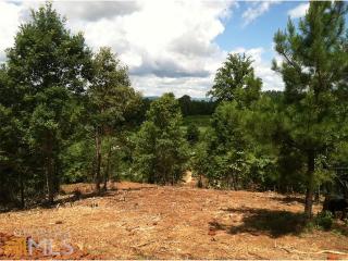 107 Rock Creek Trl, Toccoa, GA 30577-7502