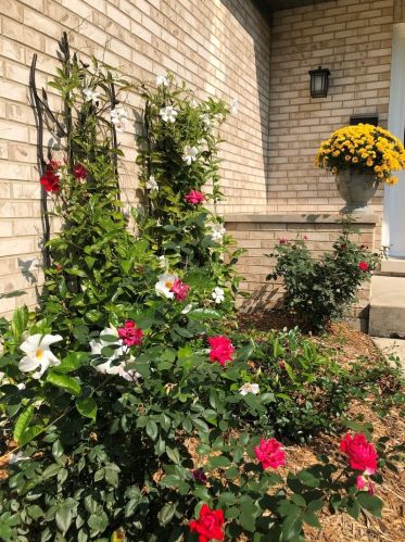 205 Middaugh Rd, Willowbrook IL  60514-1067 exterior