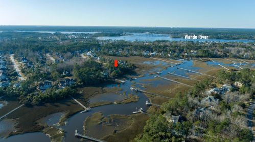 2376 Darts Cove Way, Mount Pleasant, SC 29466-8119