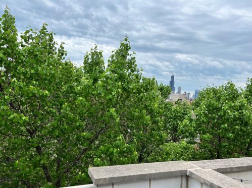 650 Armour St, Chicago IL  60642-6108 exterior