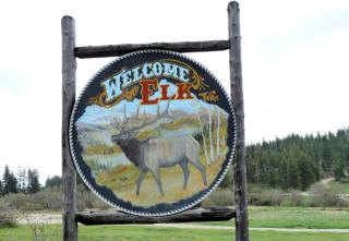 822 Willms Rd, Elk, WA 99009-9503