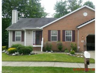 111 Chimney Rdg, Concord Township OH  44024-4006 exterior
