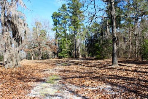 47 Zeagler Rd, Lone Star, SC 29030-8459