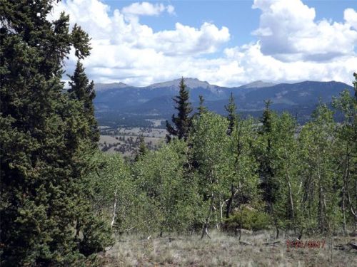 1099 Wells Fargo Cir, Fairplay, CO 80456-9727