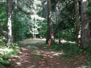 36025 Shoreview Dr, Dorena, OR 97434-9709