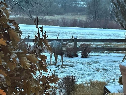 22318 Quail Run Way, Parker CO 80138-3121 exterior